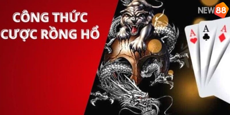 hướng dẫn chơi rồng hổ